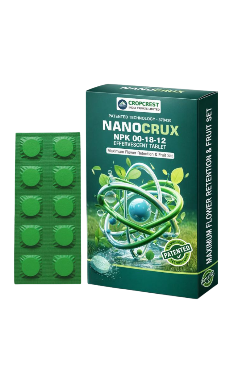 NanoCrux 00:18:12 Effervescent tablet